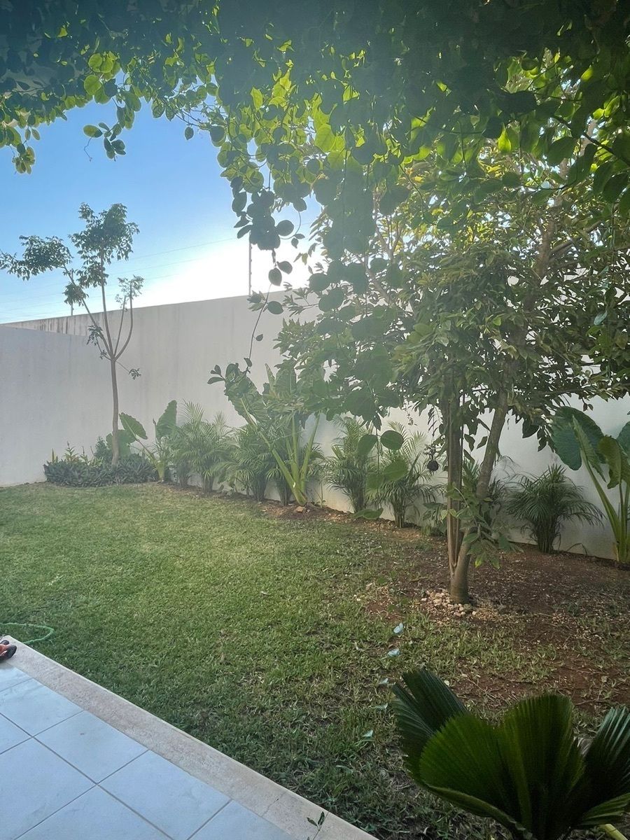 5 de 16