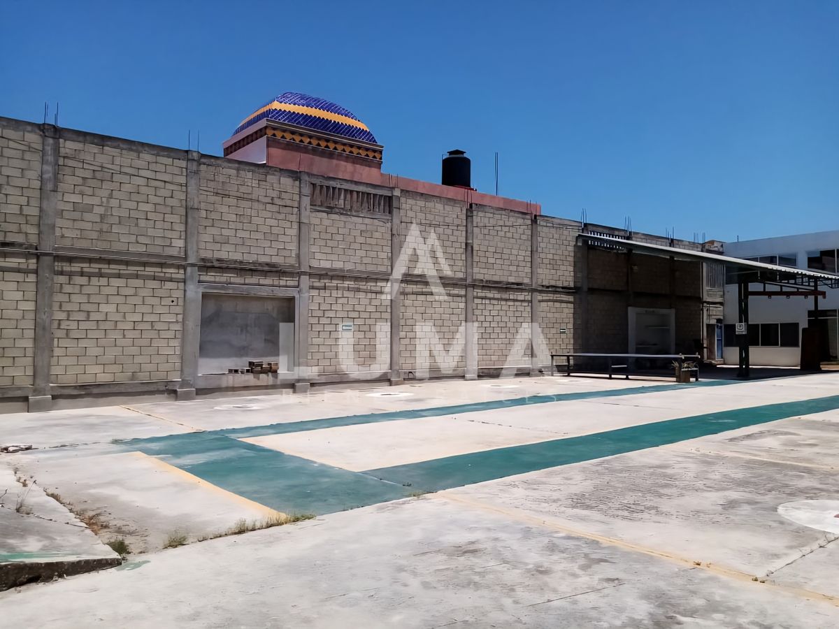5 de 20