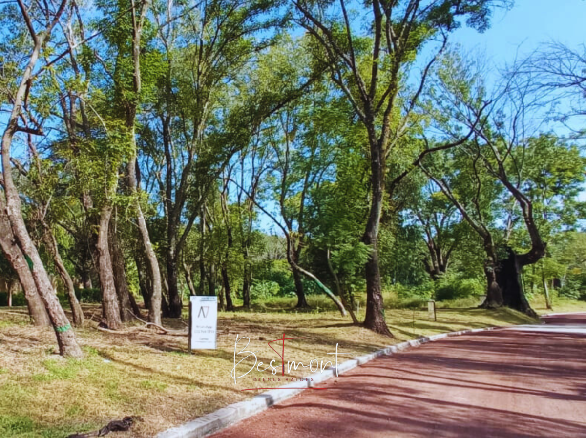 3 de 11: Frente Terreno