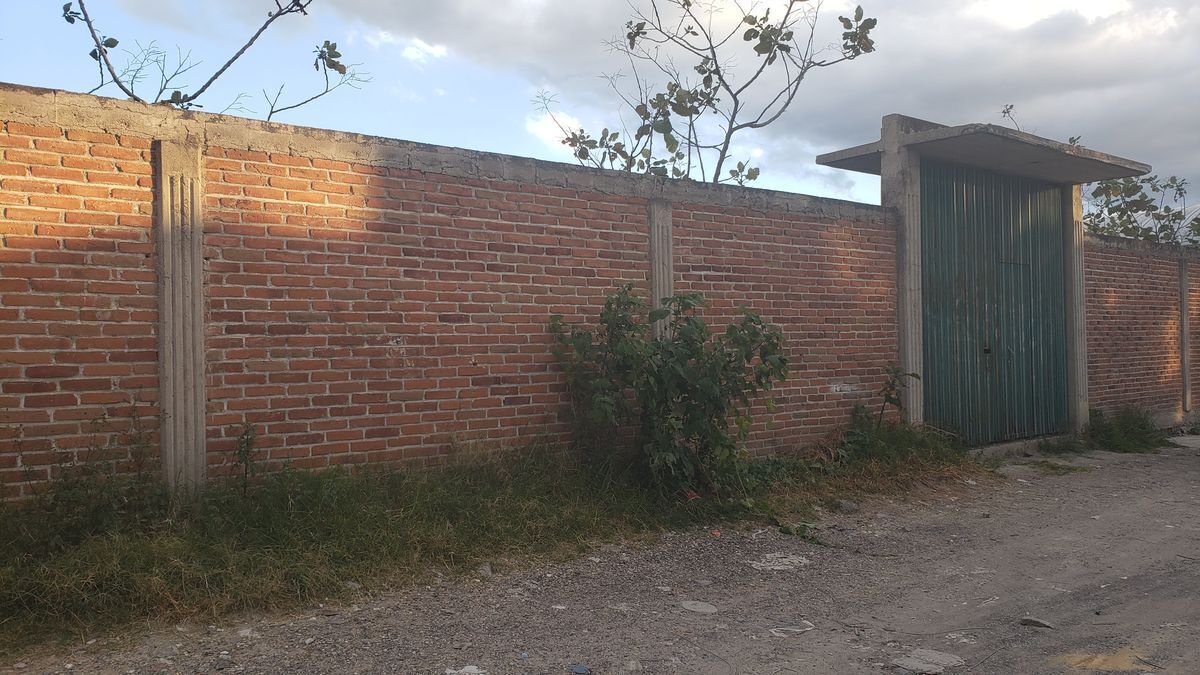 3 de 11