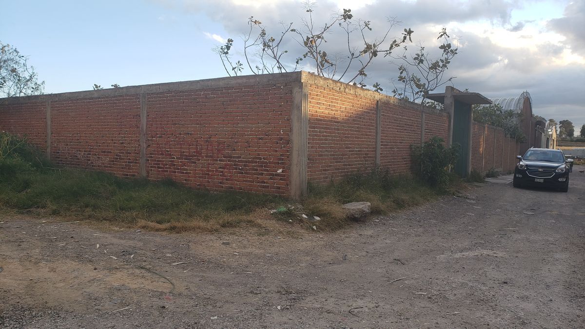 4 de 11