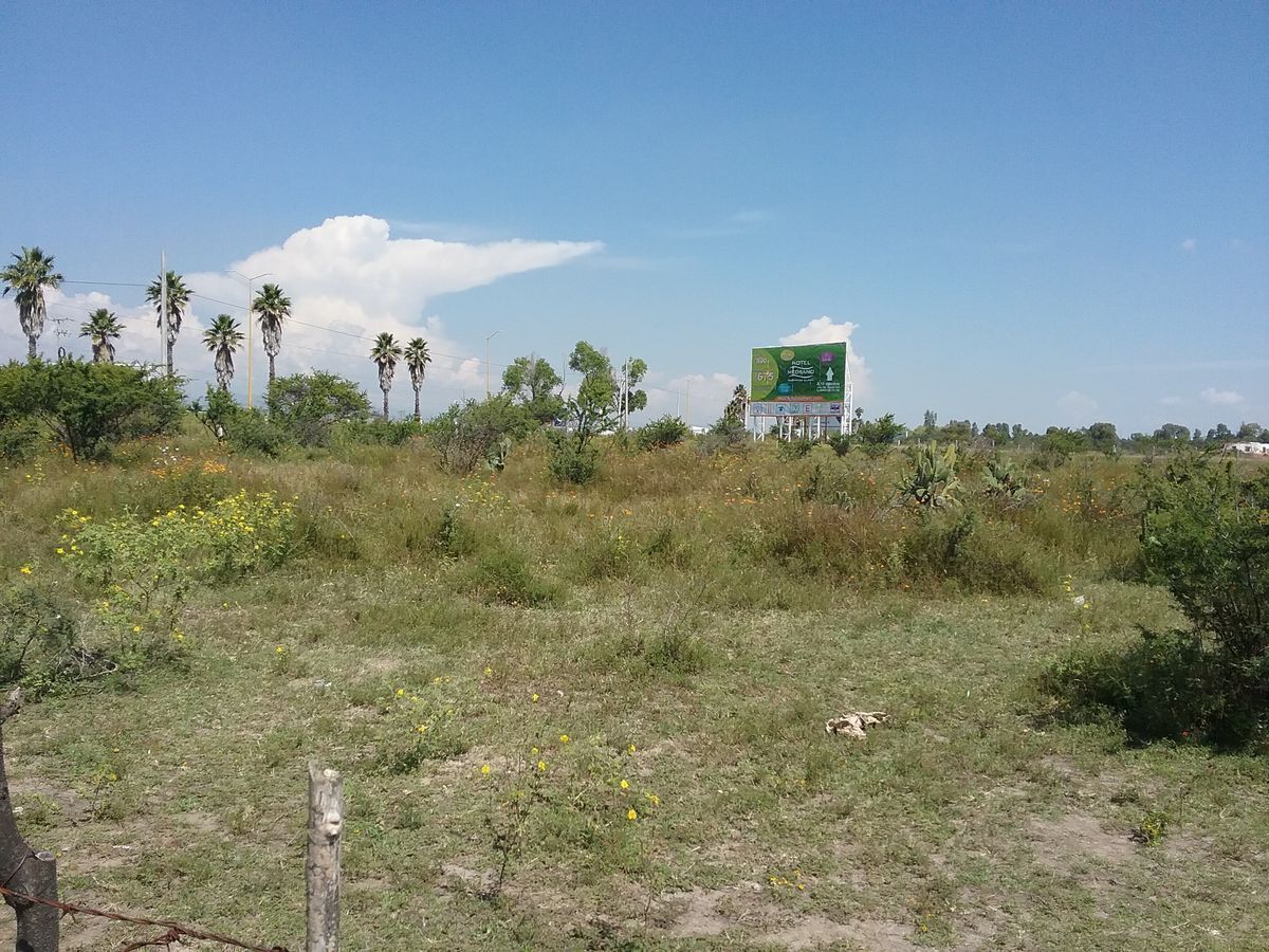 4 de 5