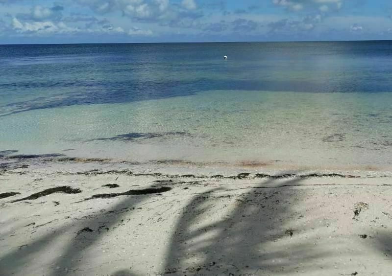 LOTES DE OPORTUNIDAD EN SANTA CLARA, YUCATAN - EN TERCERA FILA