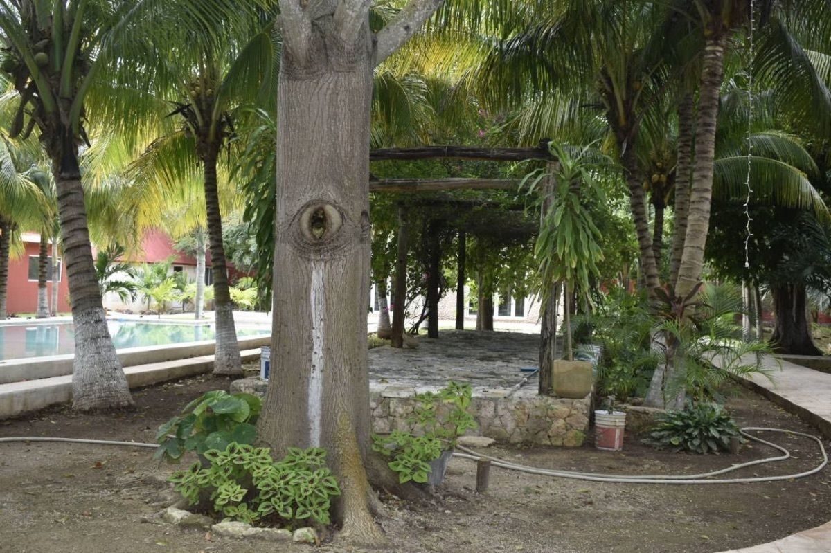 3 de 18
