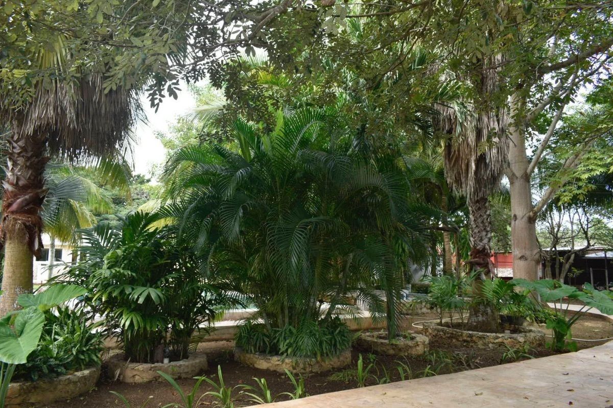 4 de 18