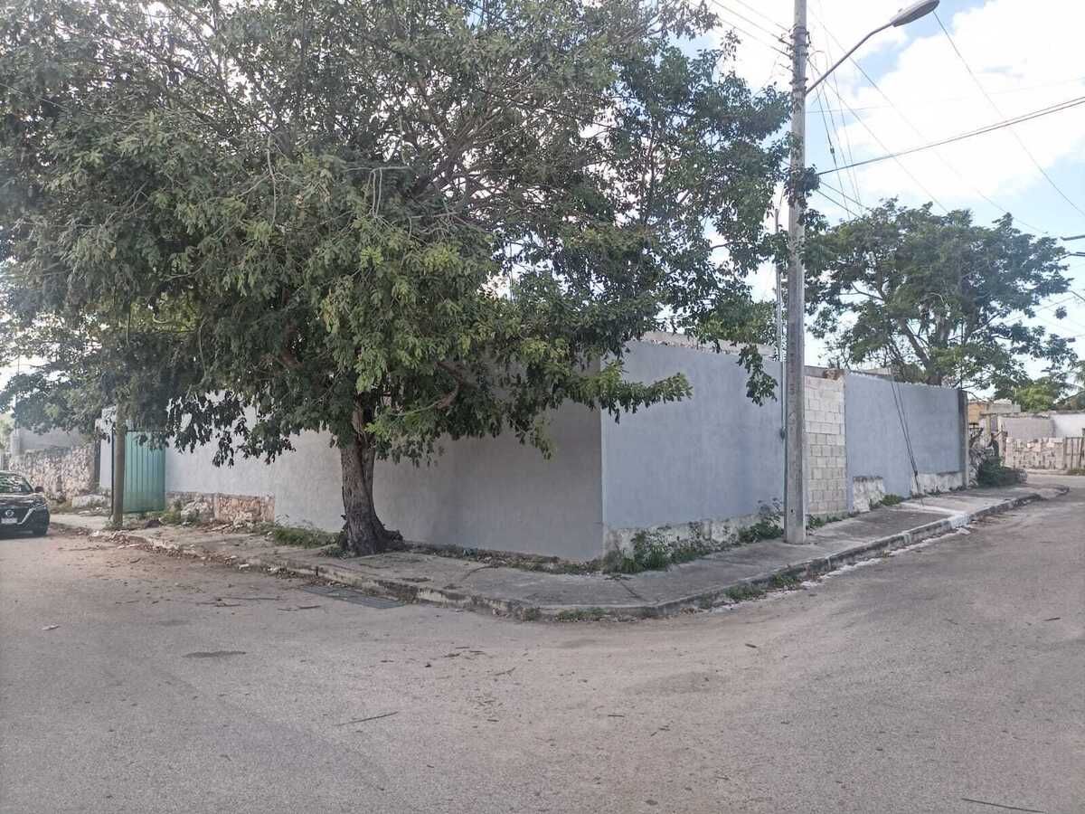 1 de 17