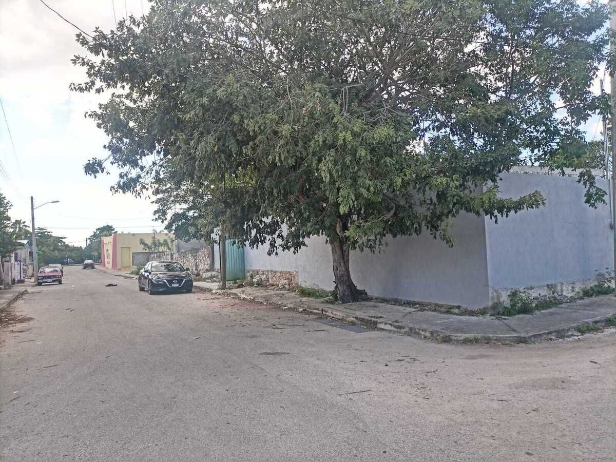 5 de 17