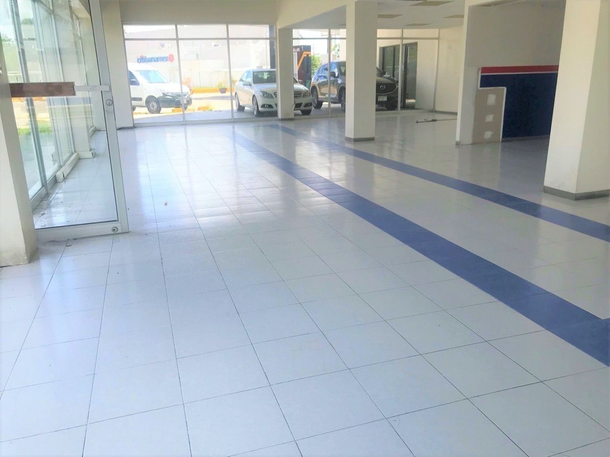 Renta Local Comercial en Buenavista