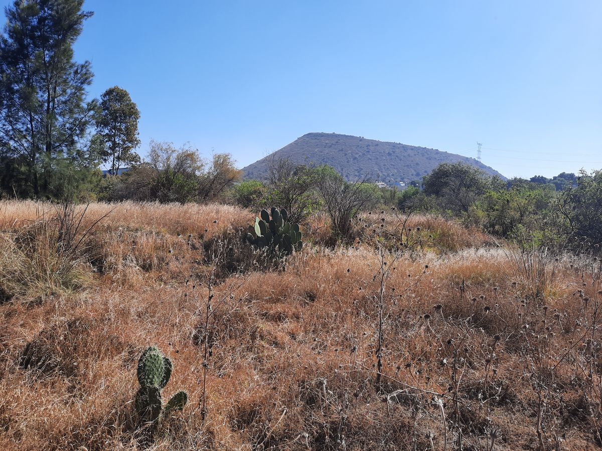 16 de 19: Terreno