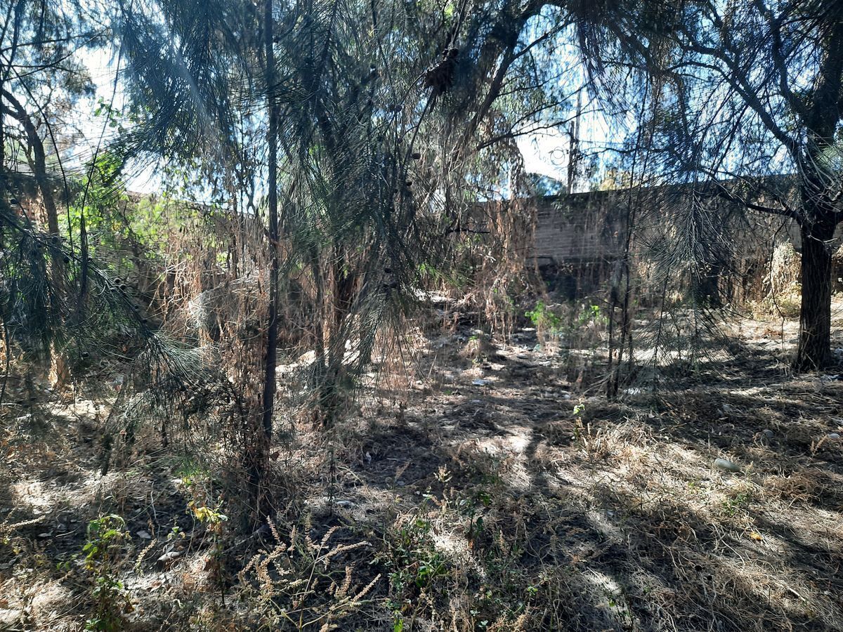 18 de 19: Esquina terreno colindancia Los Reyes Park