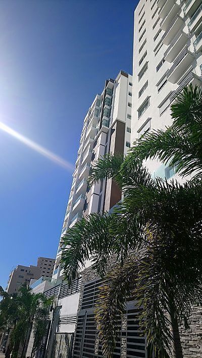 6 de 19