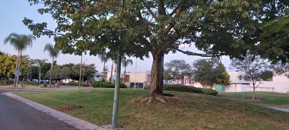 18 de 21