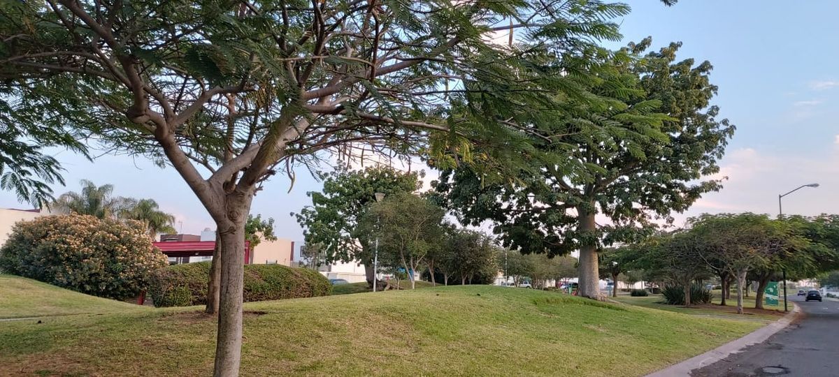 19 de 21
