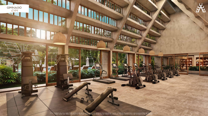 12 of 18: Gimnasio