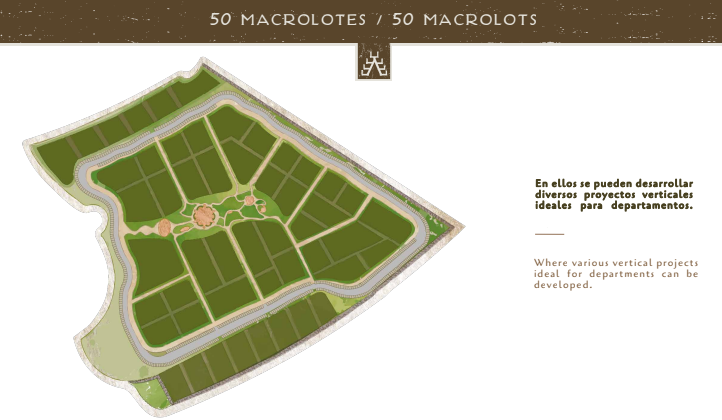 18 of 18: Macrolotes