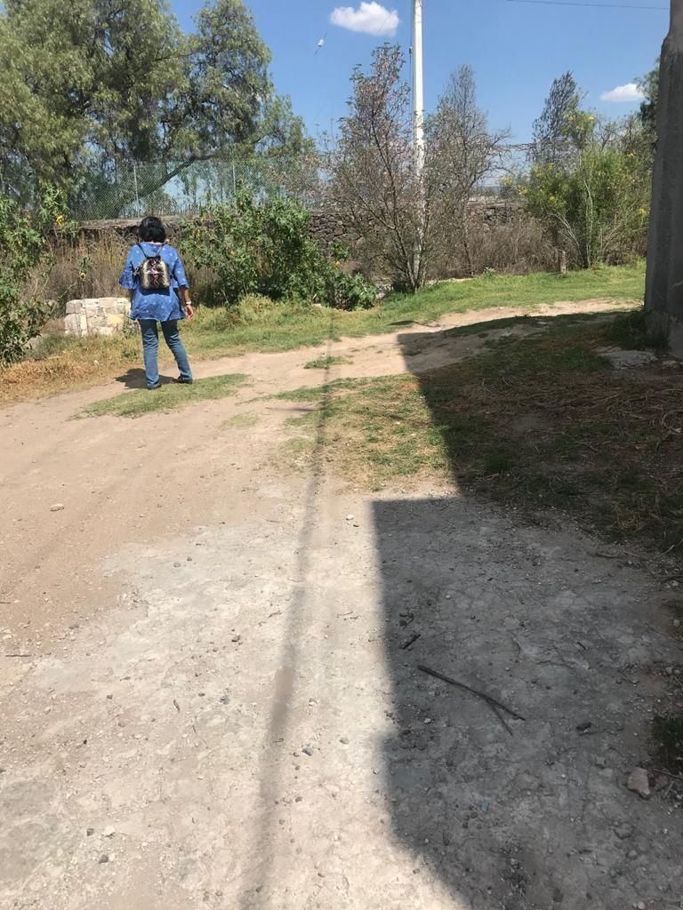 4 de 12