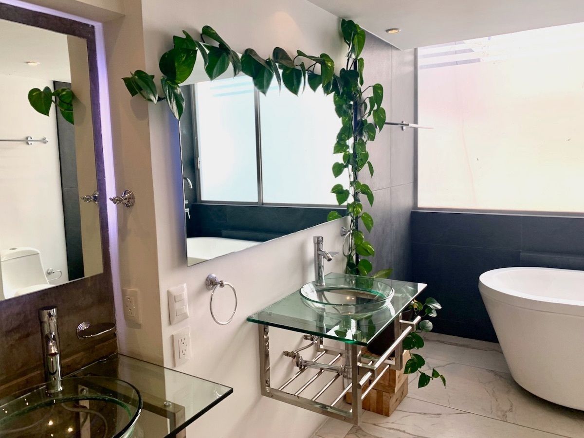 Apartamento em Polanco I Sección, Miguel Hidalgo, foto 34 de 37