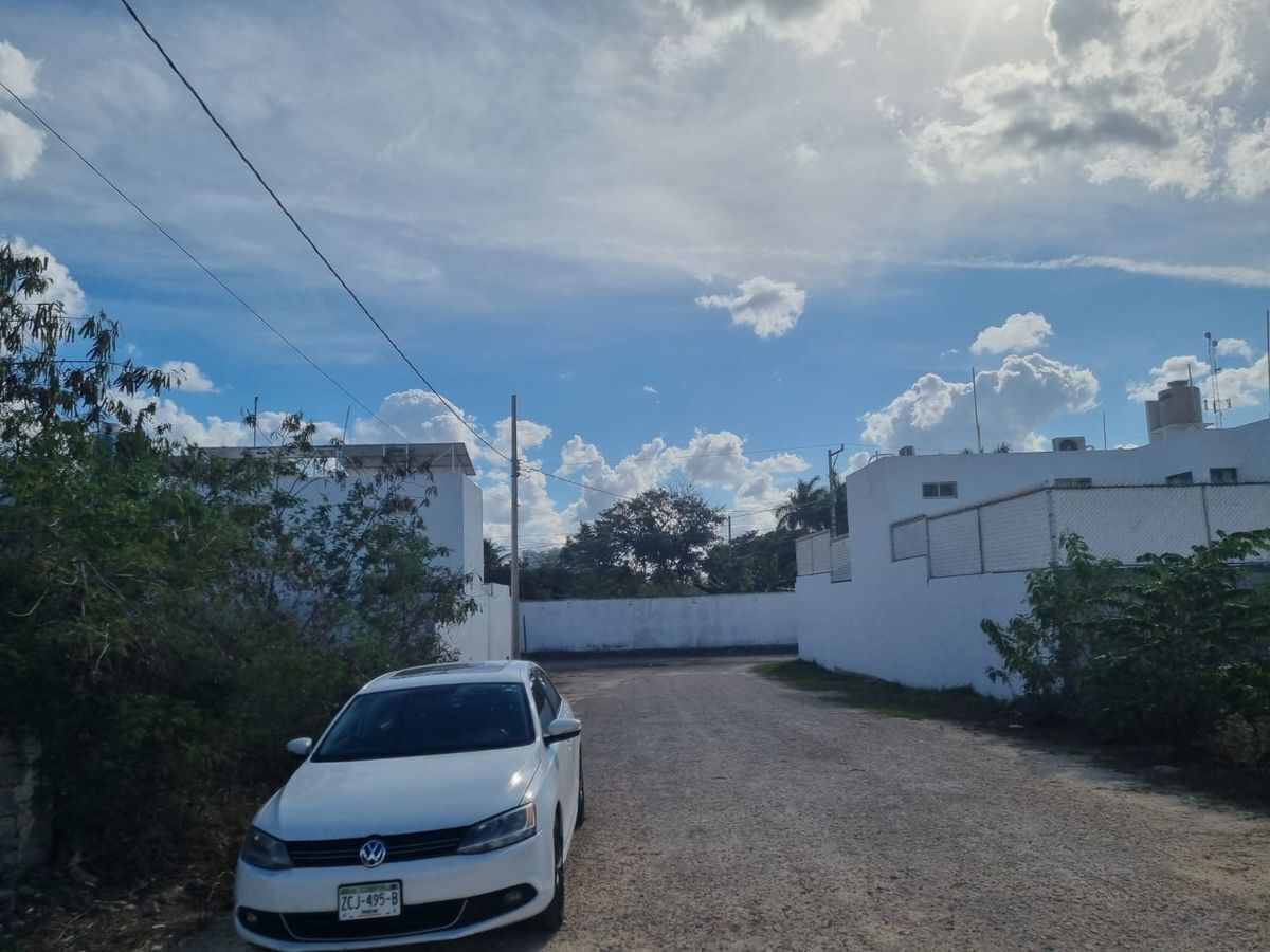 7 de 16