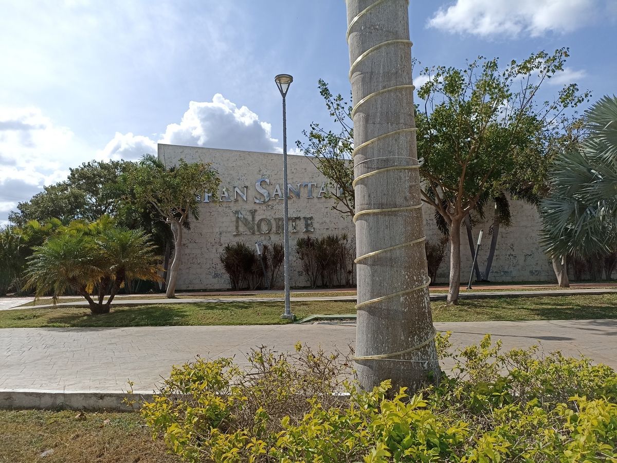 8 de 31