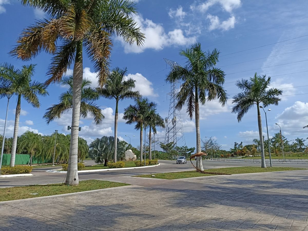 9 de 31