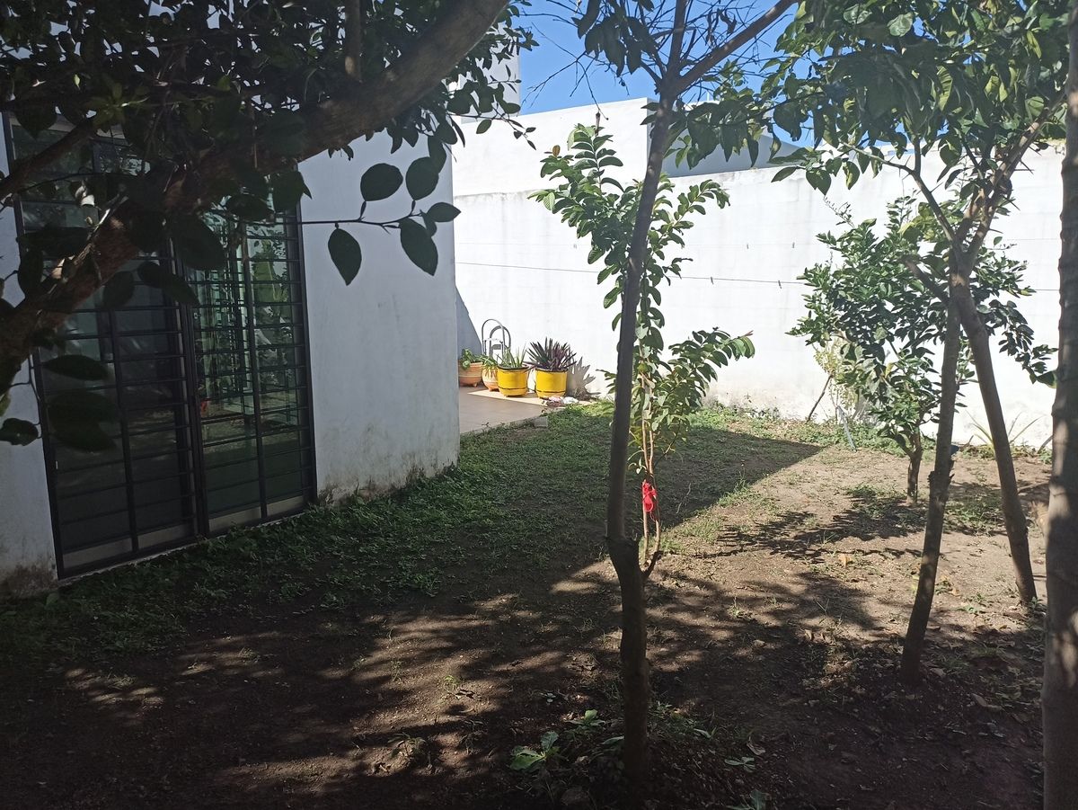 31 de 31: Patio con plantas frutales
