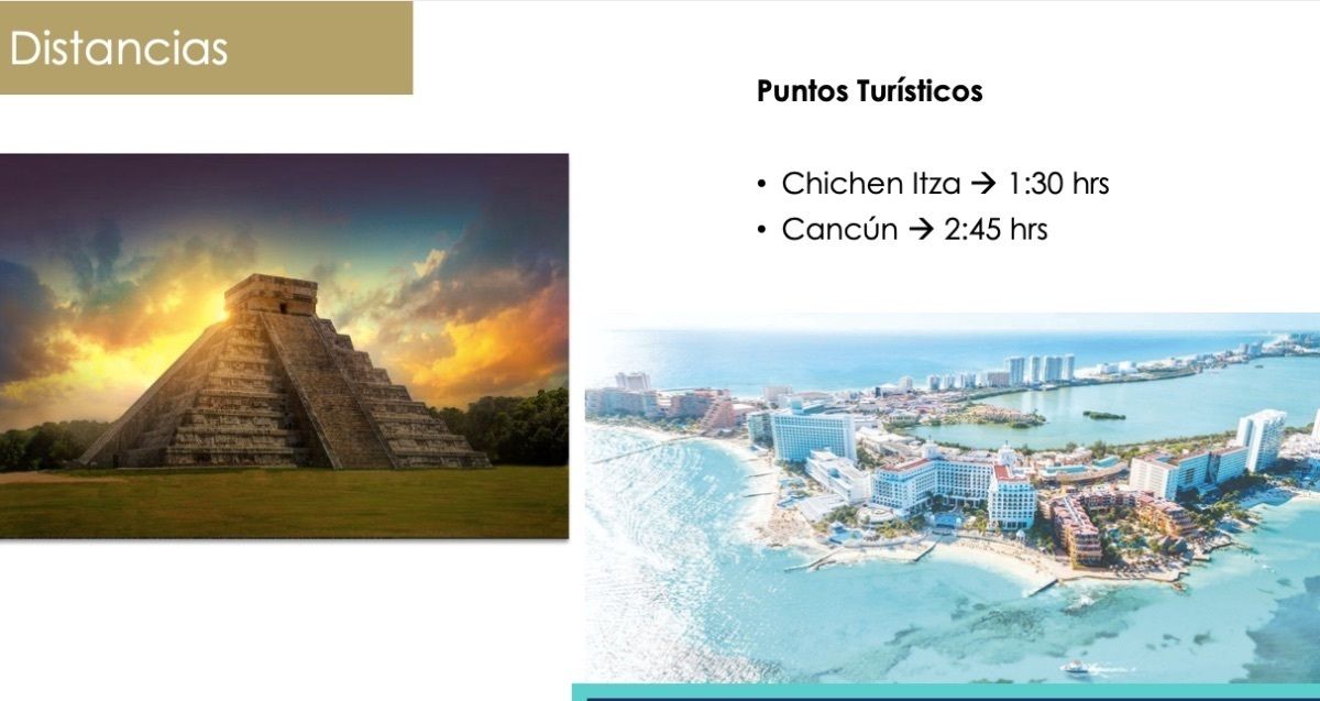 Imagen 8 de 9