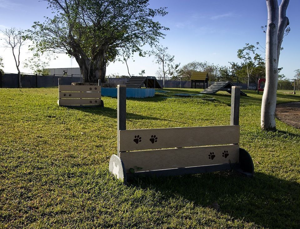 20 de 24: Pet Park
