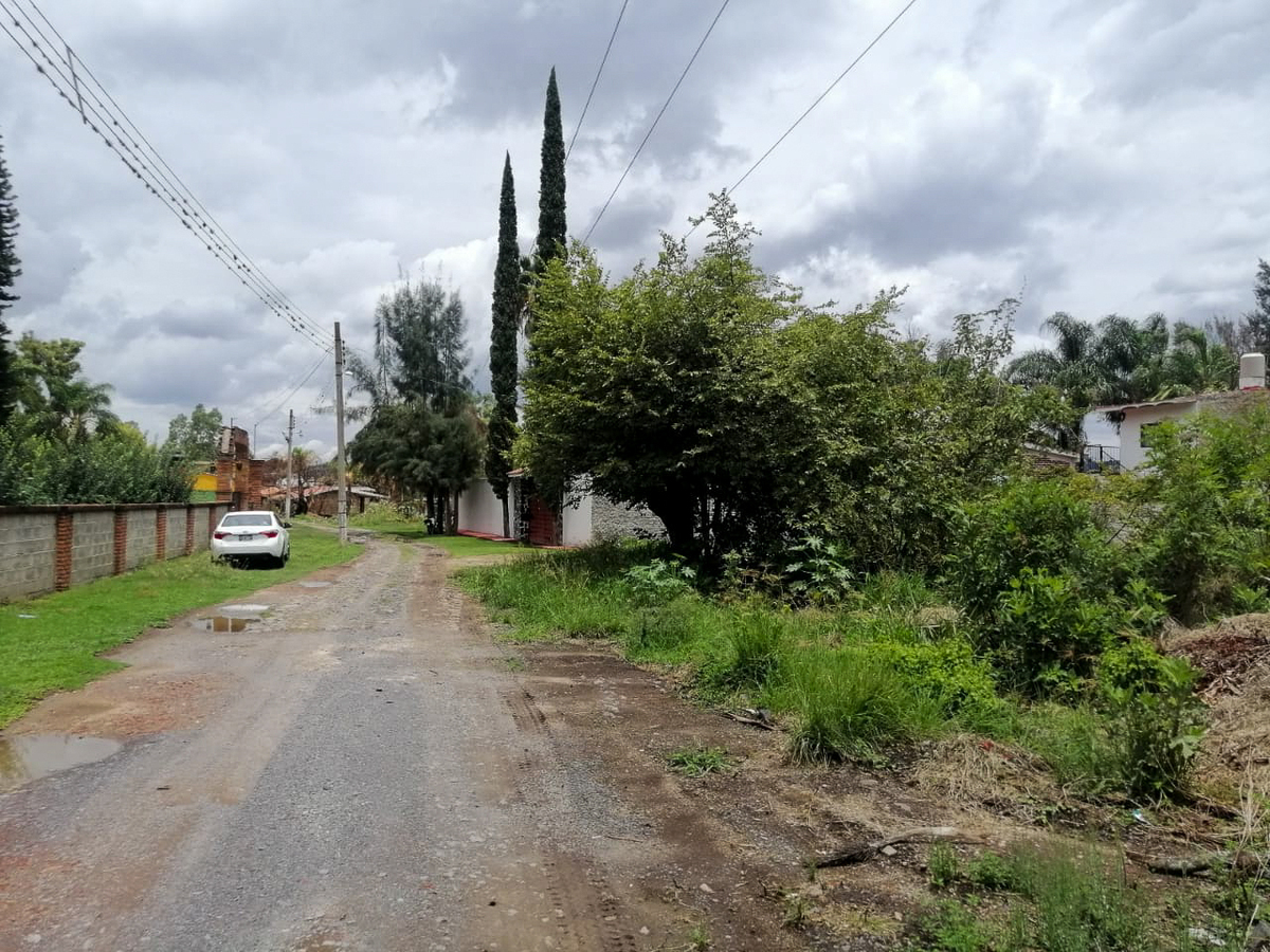 3 de 6