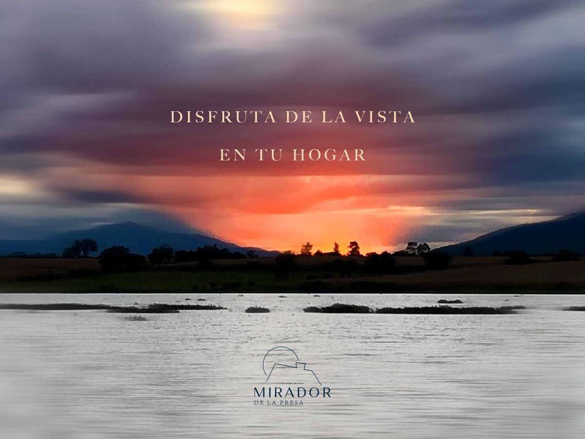 6 de 10