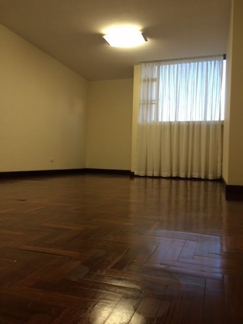 2 de 4: Amplia sala y comedor