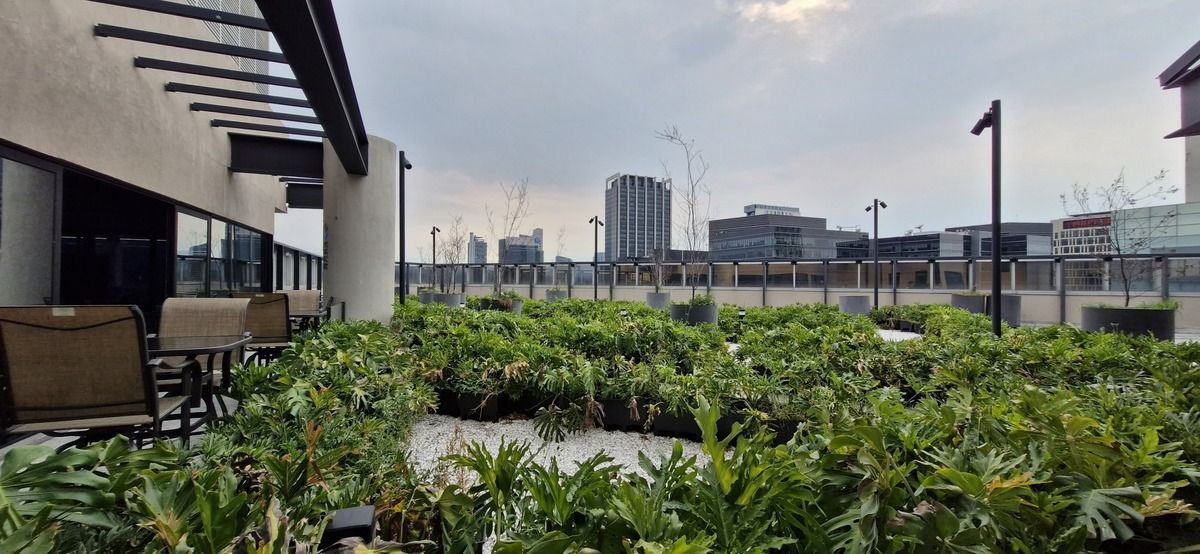 36 of 36: Roof Garden