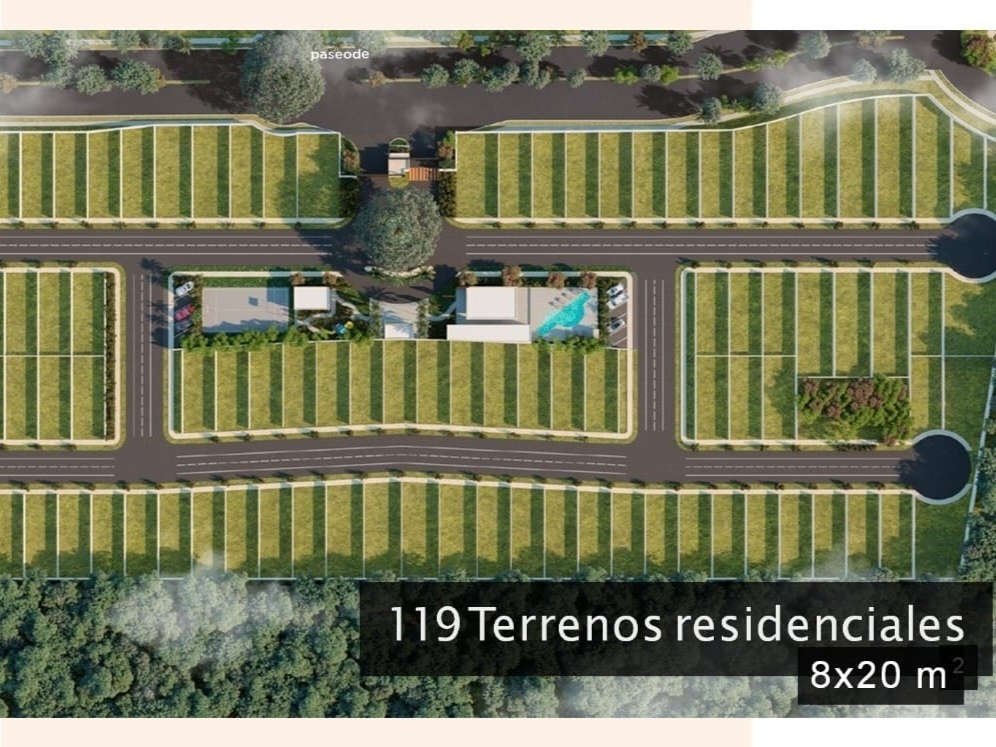 2 de 11