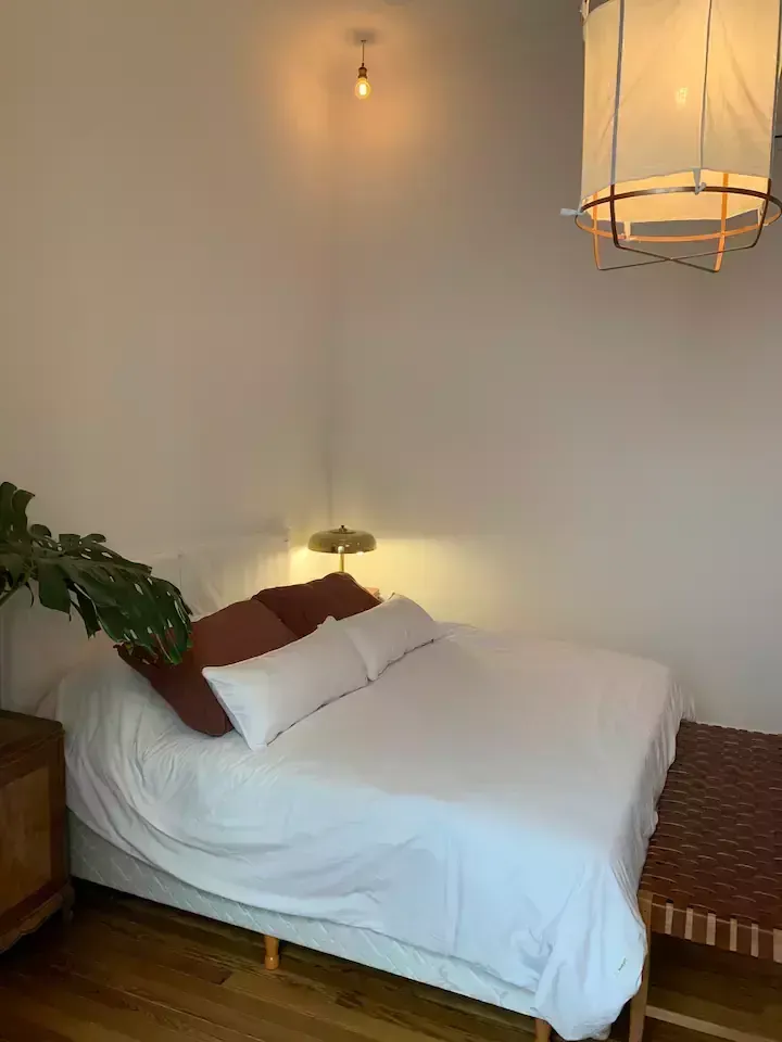 24 de 50