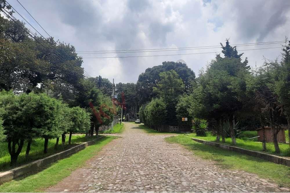 5 de 29