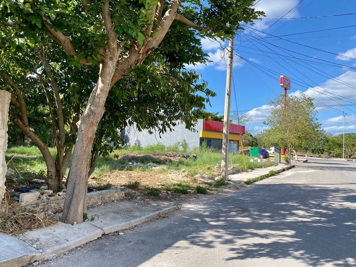 5 de 16