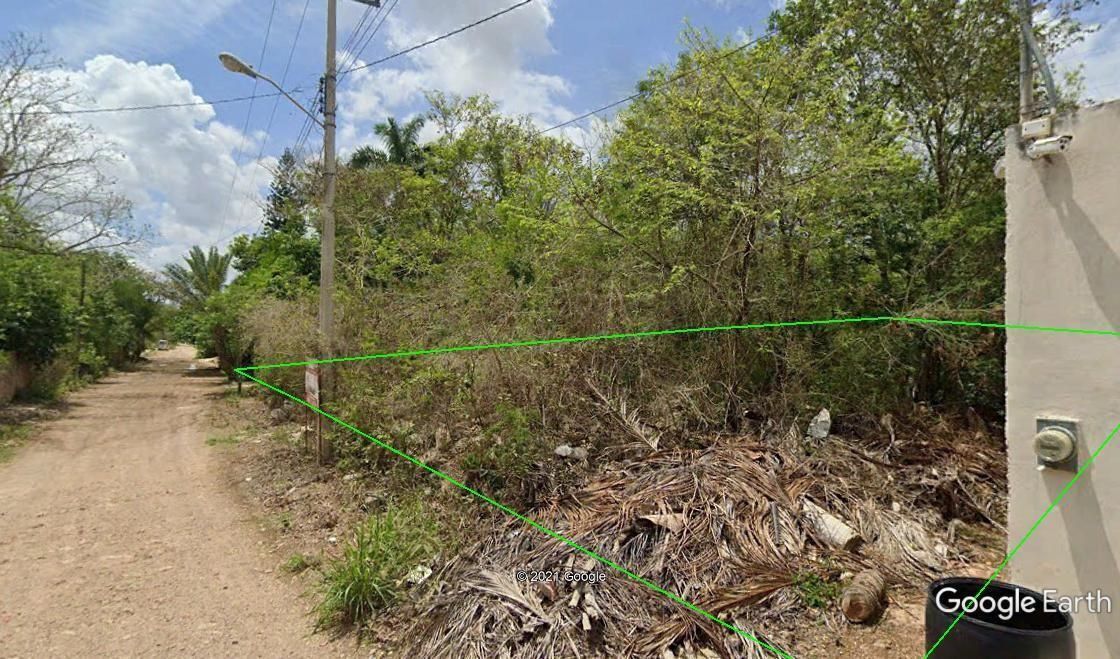 6 de 6: Terreno venta Cholul Mérida Yucatán / mayanlife.mx