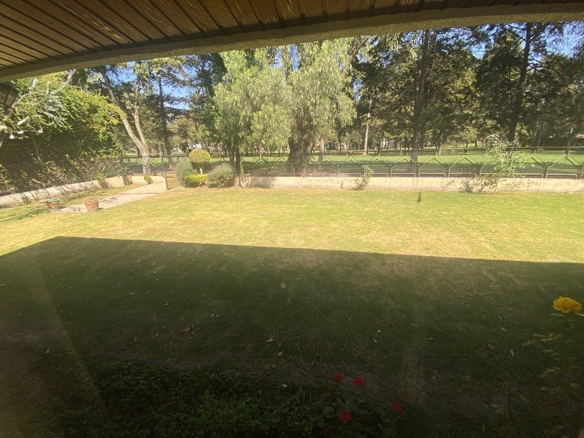 17 de 50