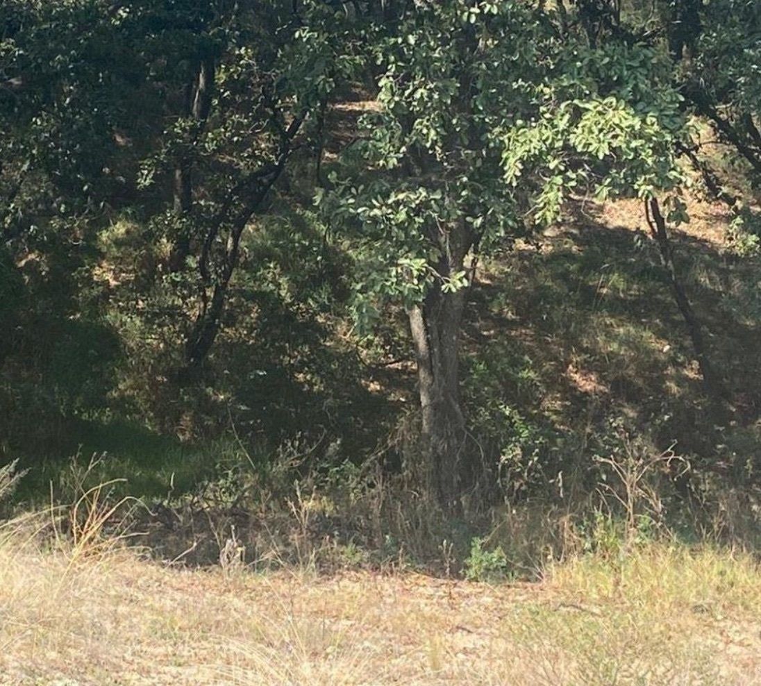 Lote em Rancho San Juan, Atizapán de Zaragoza, foto 17 de 36