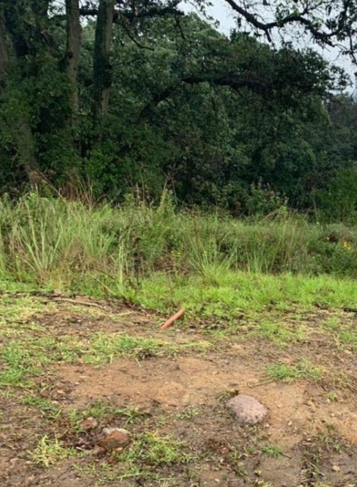 Lote em Rancho San Juan, Atizapán de Zaragoza, foto 13 de 36