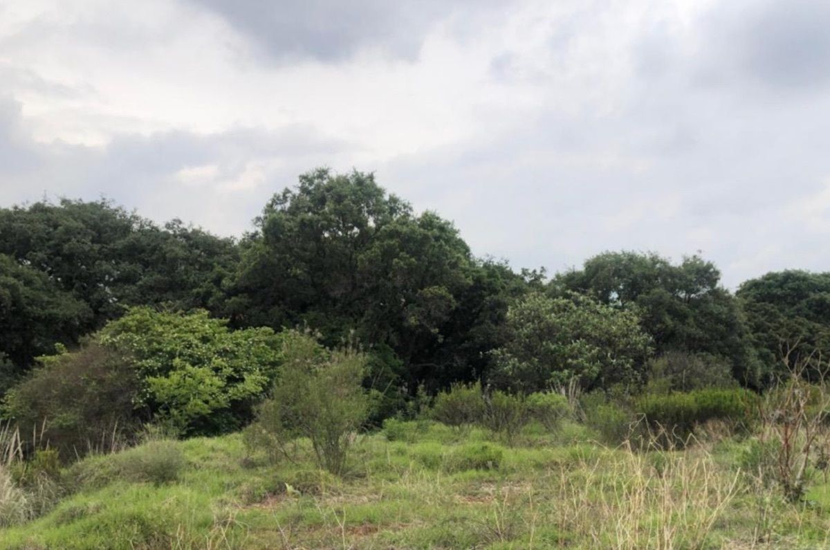 Lote em Rancho San Juan, Atizapán de Zaragoza, foto 15 de 36