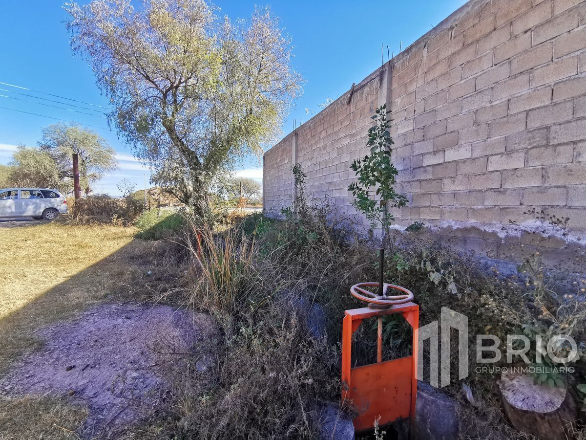 2 de 13: Interior del terreno 