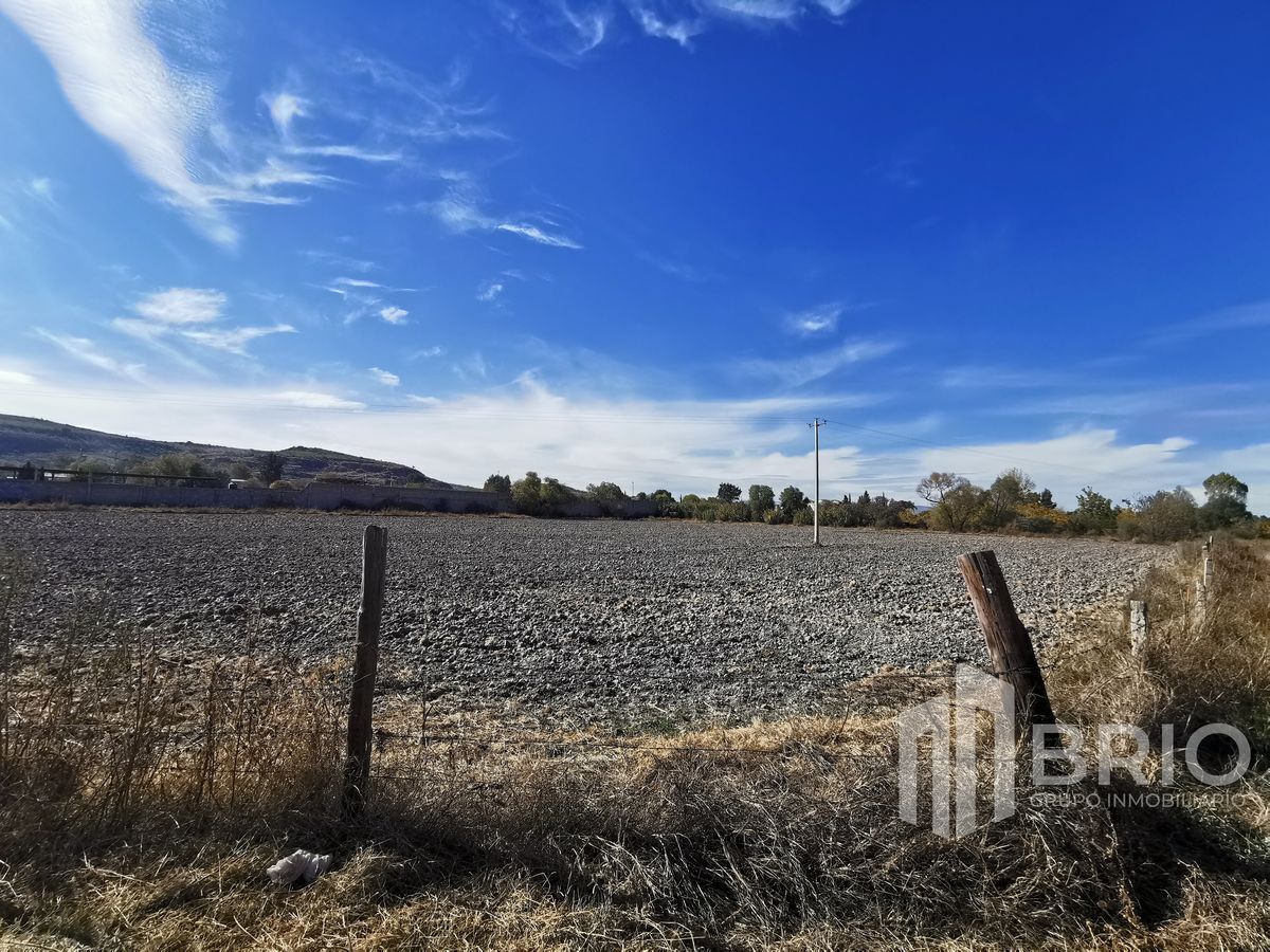 Terreno