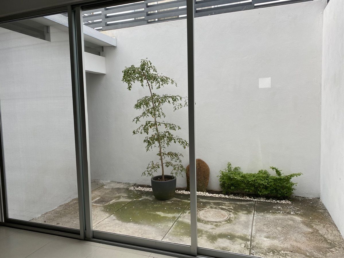 5 de 29: patio de macetas