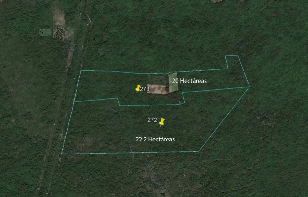 LOTES EN VENTA DE INVERSIÓN EN KANASIN - foto 1