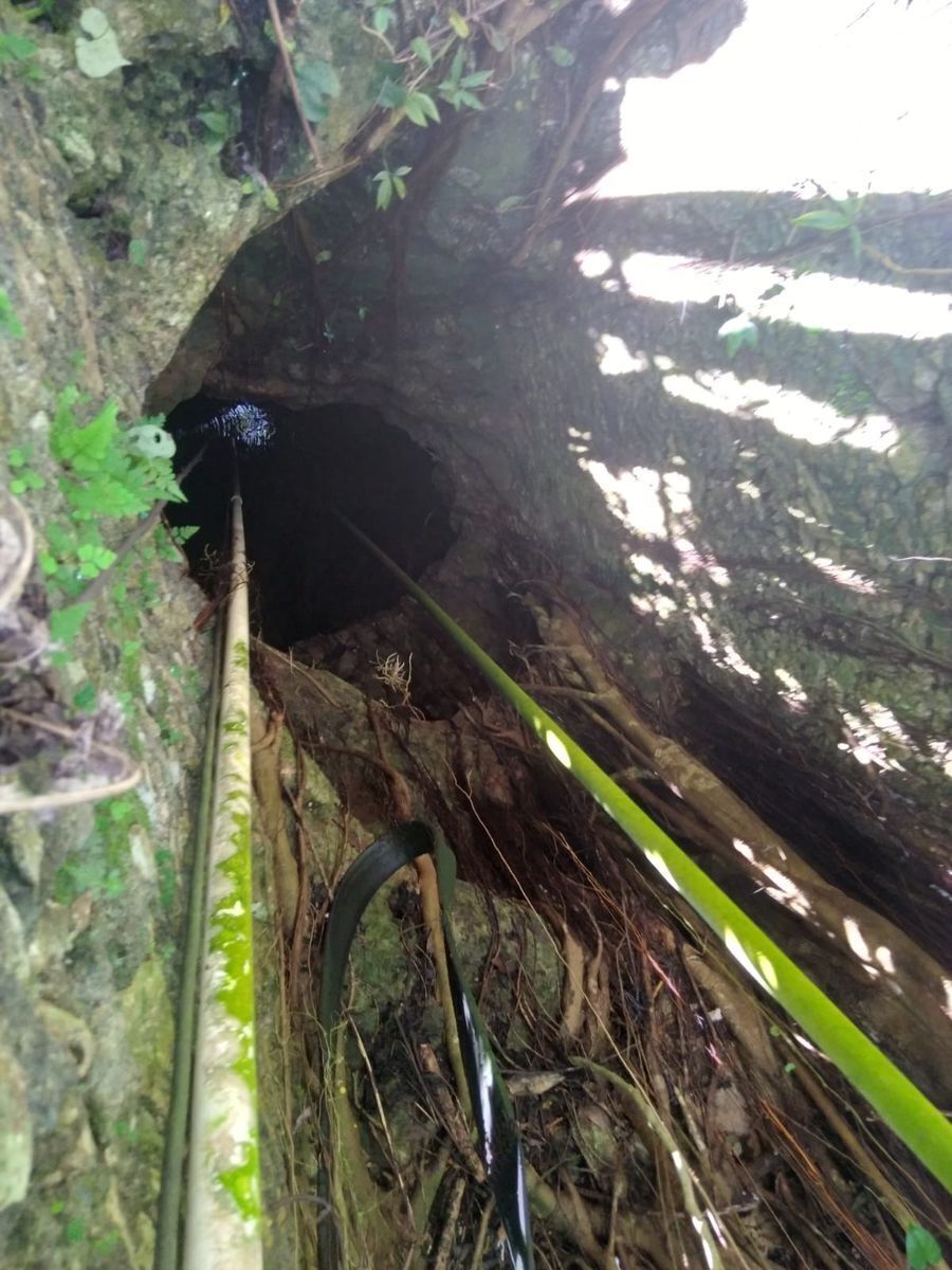 1 de 15: Uno de los cenotes de donde se sacaba agua con bomba manual