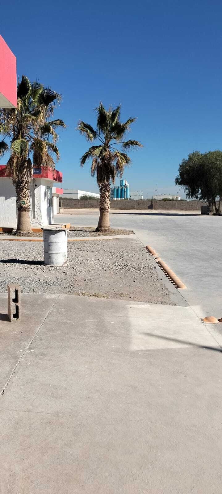 3 de 8