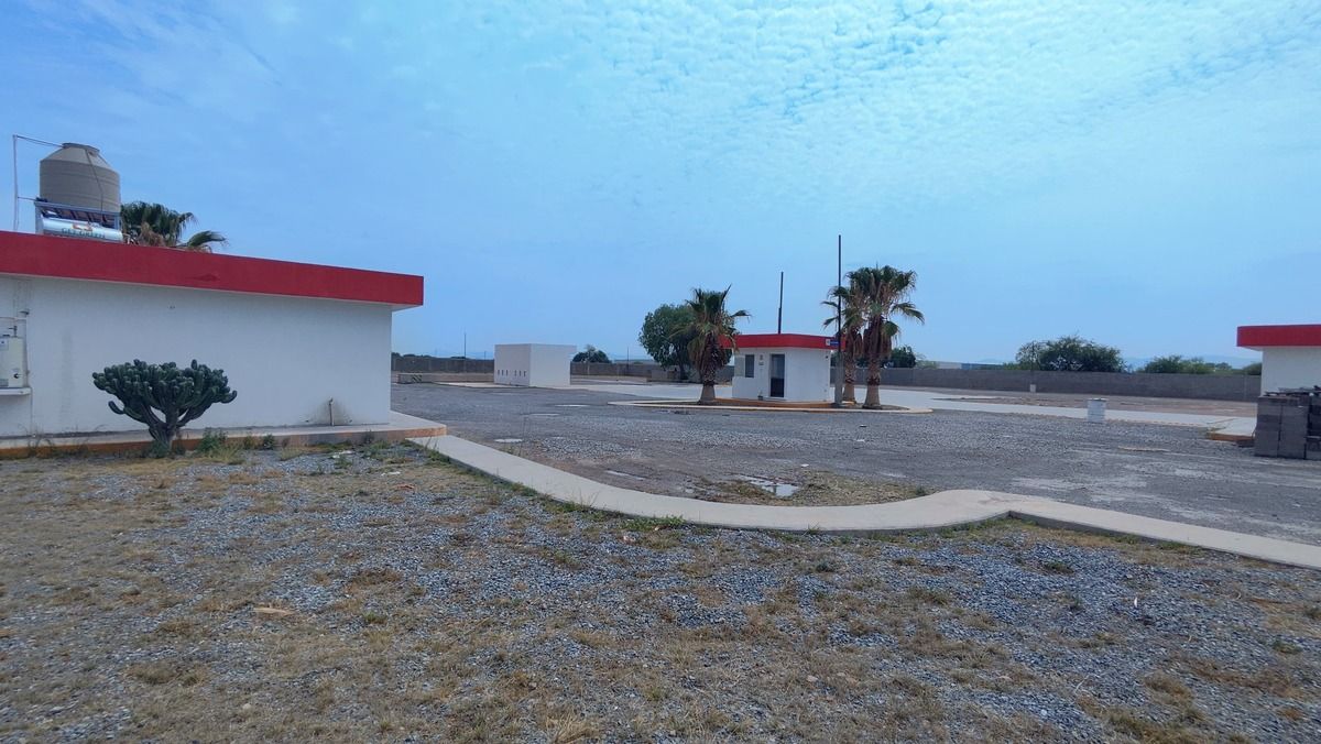 6 de 29