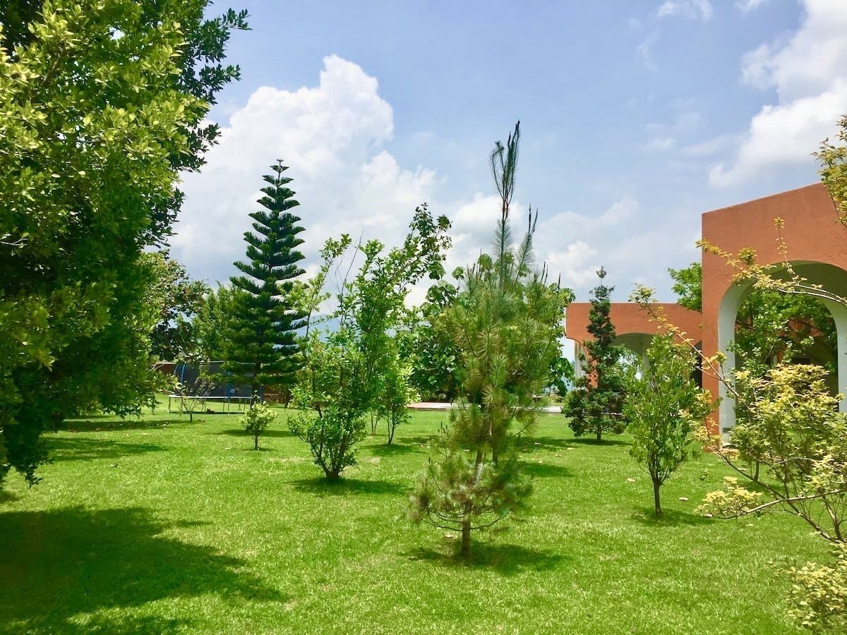 28 de 41