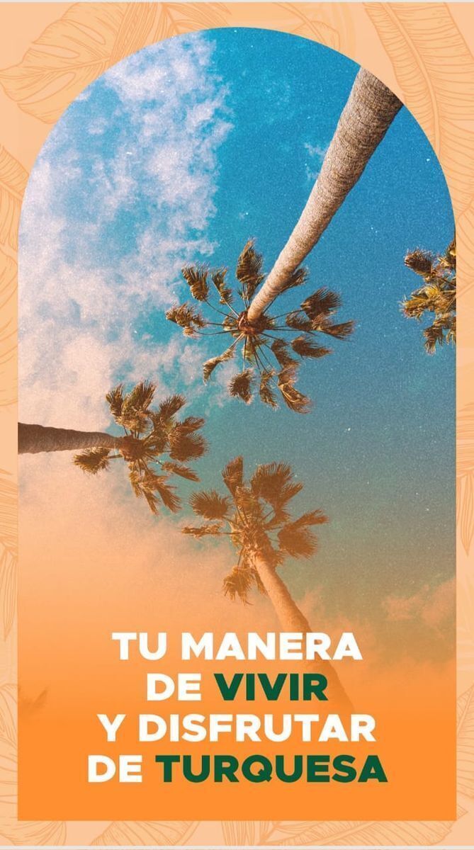 5 de 14