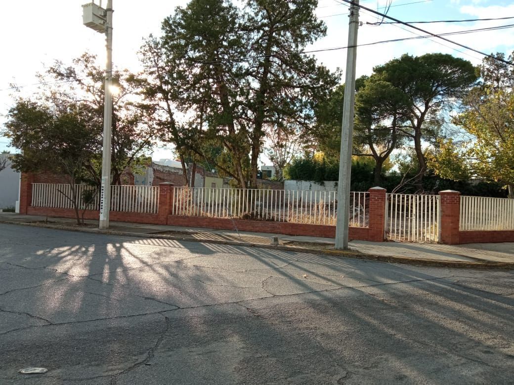 3 de 6
